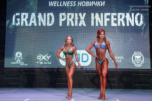 WELLNESS НОВИЧКИ